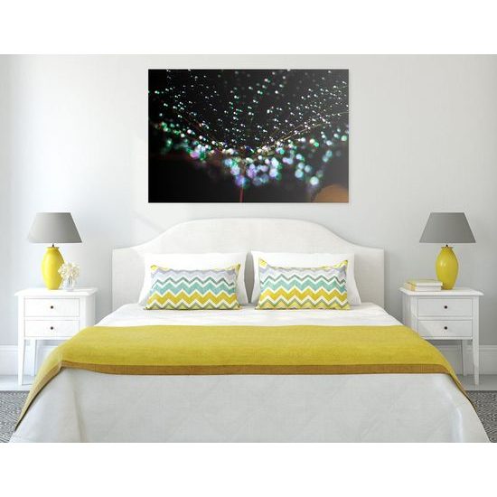 Obraz rosa na pampelišce