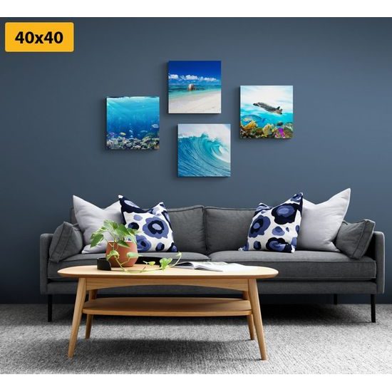 Set obrazů život pod mořskou hladinou