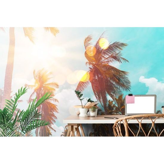 Tapeta palmy v paprscích slunce