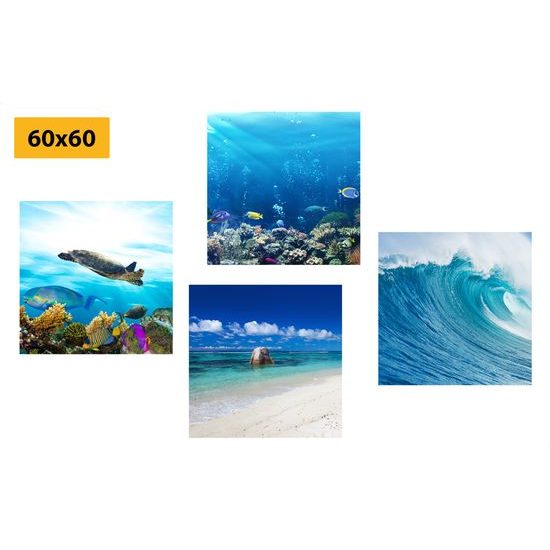 Set obrazů život pod mořskou hladinou