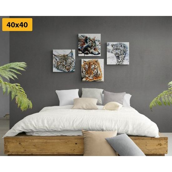 Set obrazů nádherná majestátní zvířata
