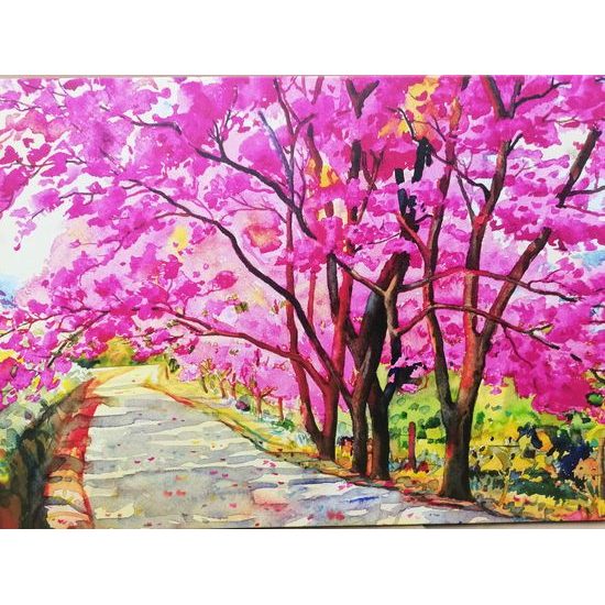 Obraz dále rozkvetlých třešní