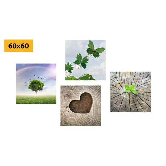 Set obrazů nádherné detaily přírody