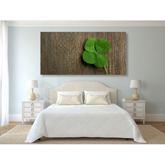 Obraz zelený čtvrtlístek pro štěstí