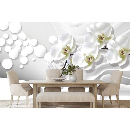 Tapeta elegantní květ orchideje na abstraktním pozadí