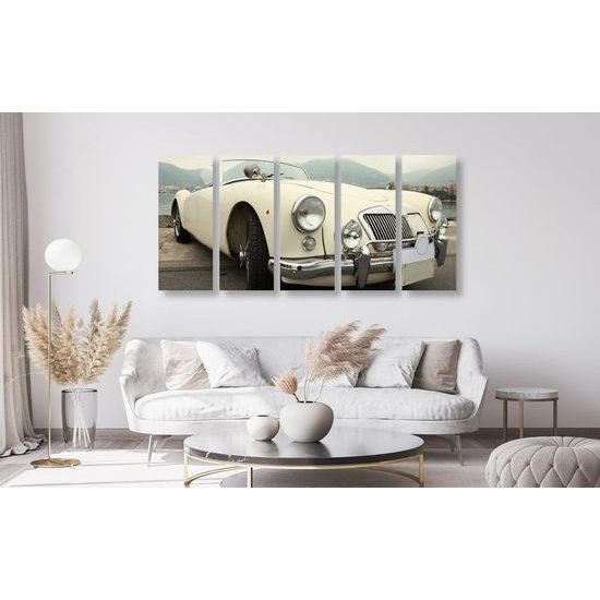 5-dílný obraz klasický bílý veterán