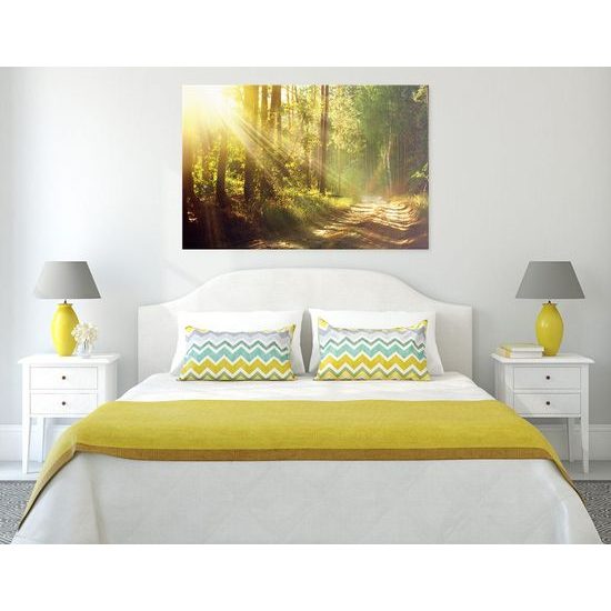 Obraz cestička v lese