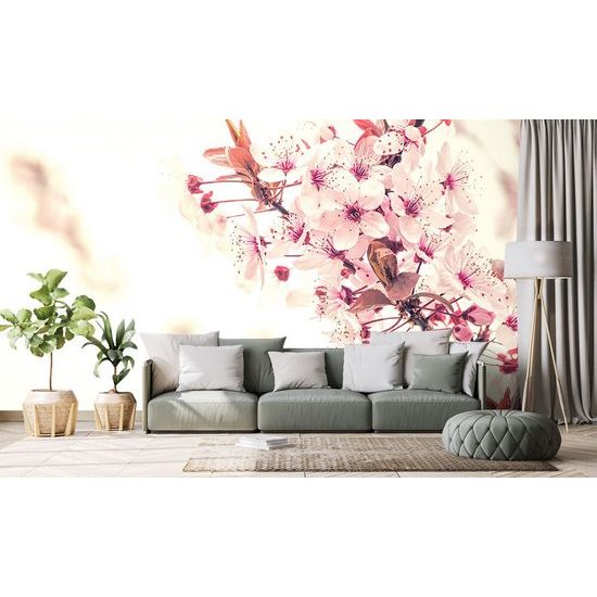 Samolepící fototapeta větvička narůžovělých květin třešně