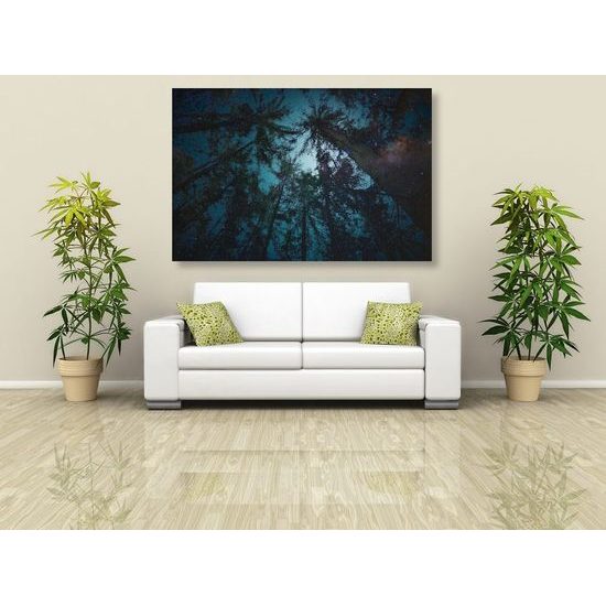 Obraz obloha mezi korunami stromů