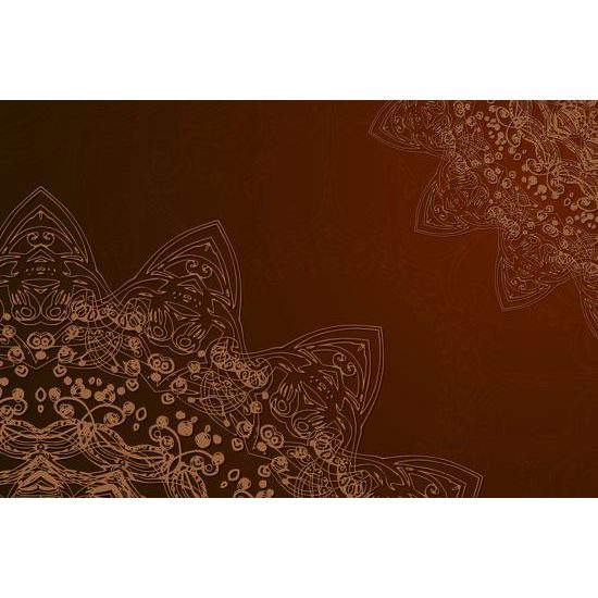 Obraz přírodní Mandala v hnědém provedení