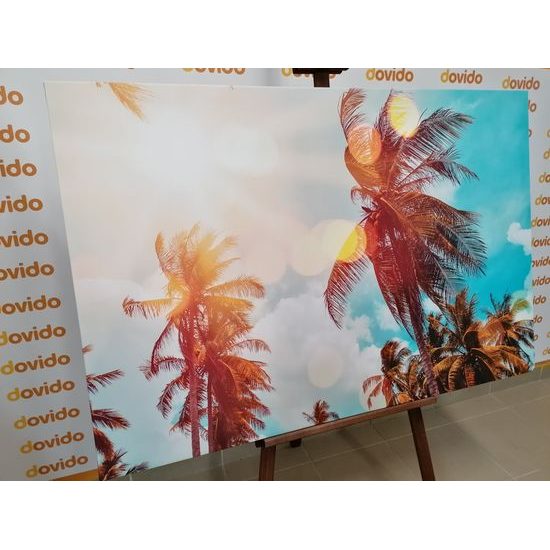 Obraz slunce prodírající se přes palmy