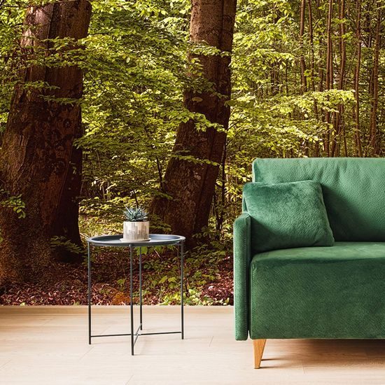 Fototapeta procházka lesem