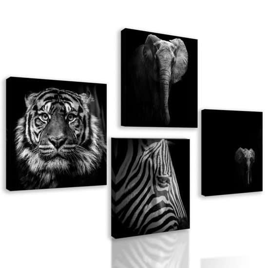Set obrazů africká zvířata v černobílém provedení