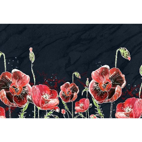 Tapeta malované vlčí máky na tmavém pozadí