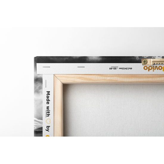Obraz krásy japonské přírody v černobílém provedení