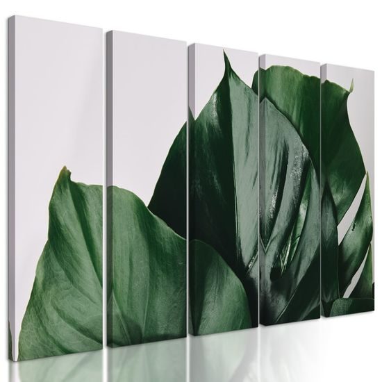5-dílný obraz lesklé listy monstery