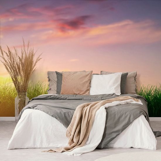 Samolepící tapeta nádherná obloha nad loukou