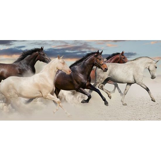 Obraz cválající koně