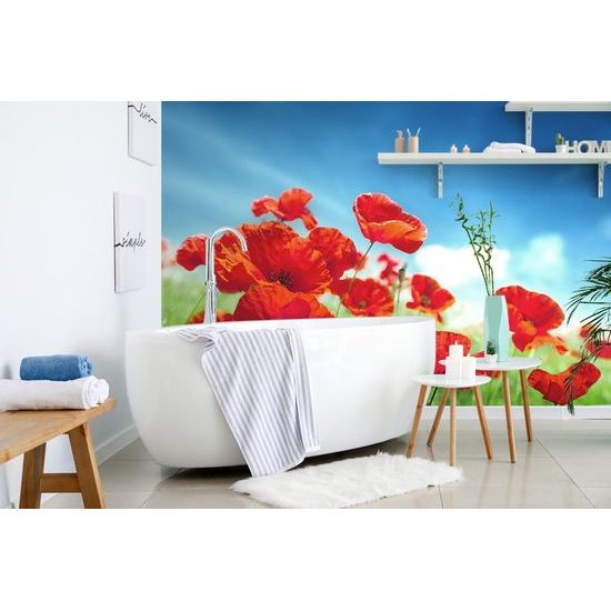 Samolepící fototapeta vlčí mák na louce