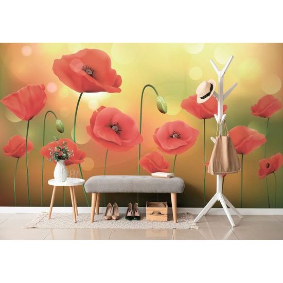 Tapeta máky na sluneční louce