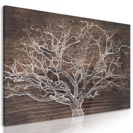 Obraz košatá koruna stromu na dřevě