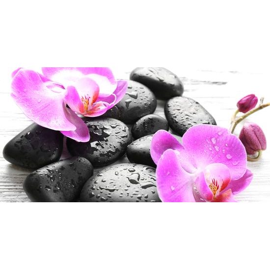 Obraz wellness kameny a orchidej po dešti