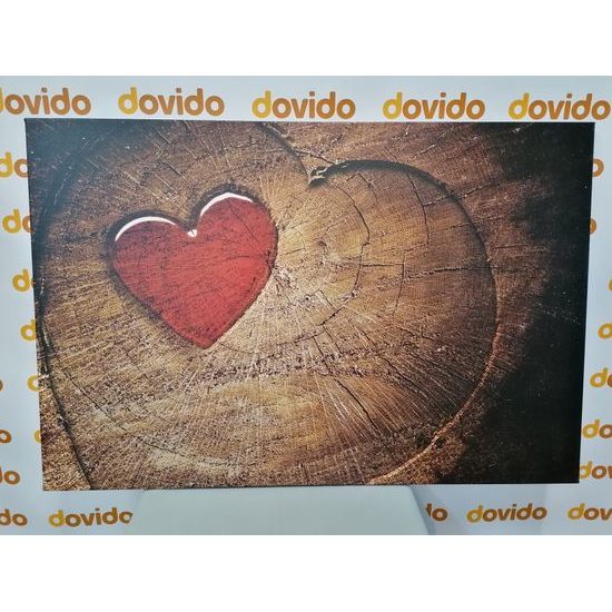 Obraz malebné srdce na pařezu