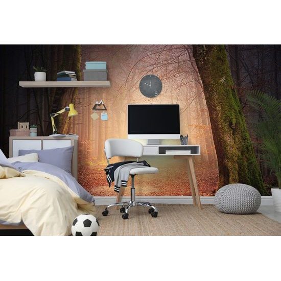 Samolepící fototapeta magická lesní cesta