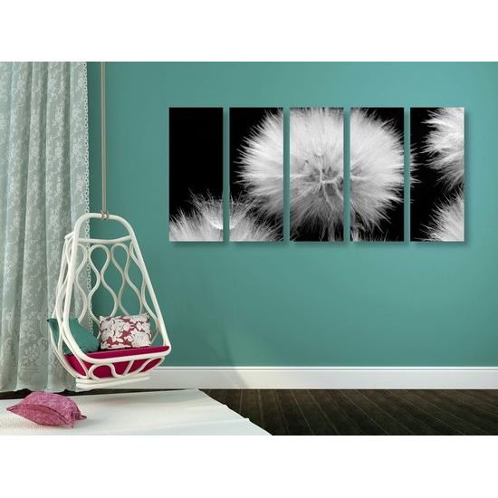 5-dílný obraz pampeliška v rozkvětu v černobílém provedení