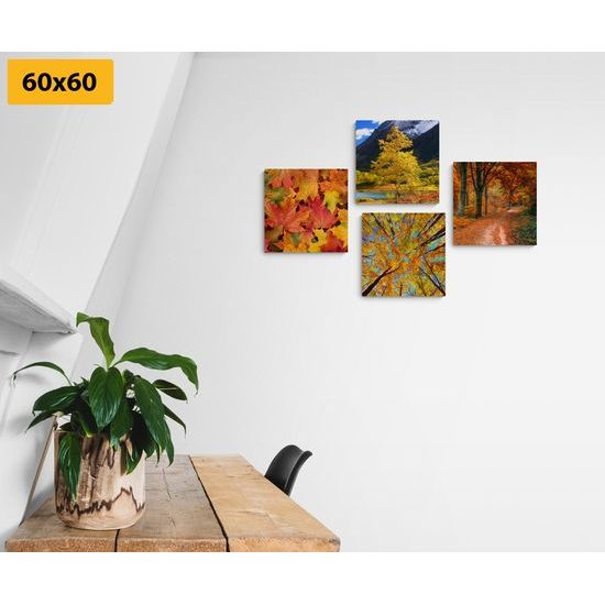 Set obrazů krásná podzimní příroda