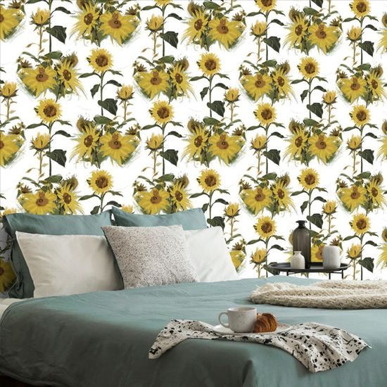 Tapeta rozkvetlé slunečnice na bílém pozadí