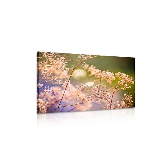 Obraz nádherné květiny