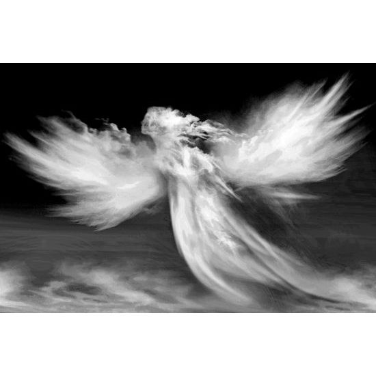 Obraz černobílý fascinující oblak anděla