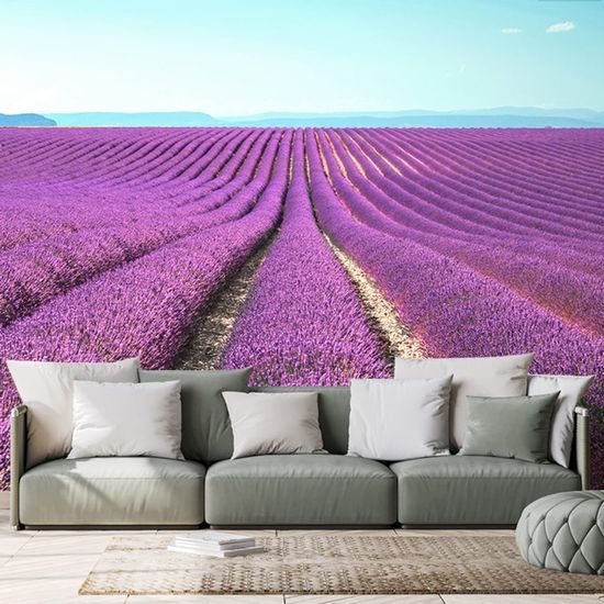 Krásná fototapeta nekončící levandulové pole