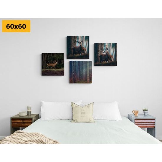 Set obrazů vysoká zvěř