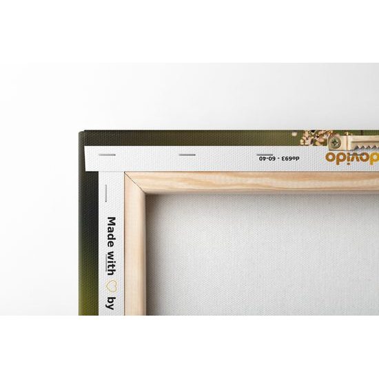 Obraz nádherné květiny