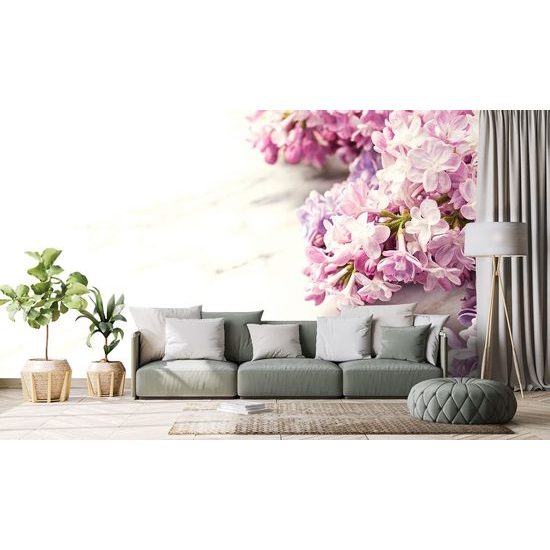 Fototapeta půvabný šeřík