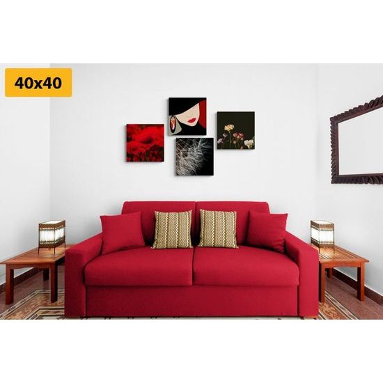 Set obrazů tajemná žena