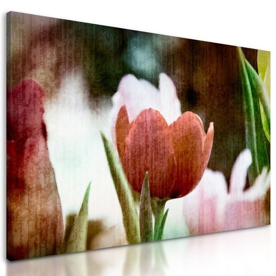 Obraz divoký tulipán ve vintage stylu