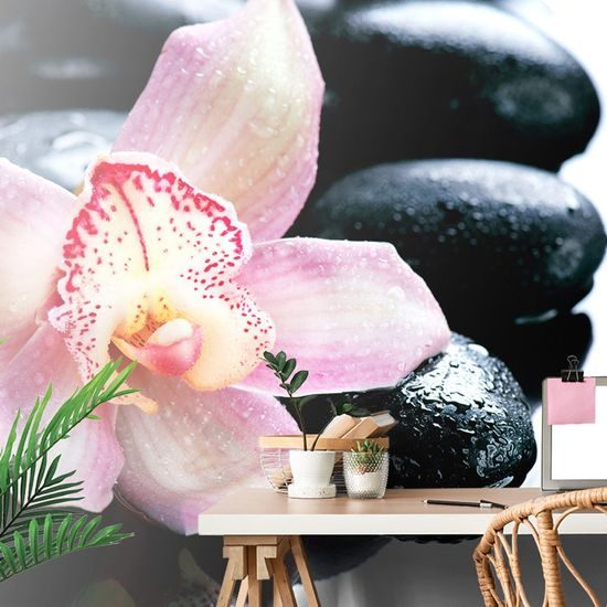 Fototapeta detail tropické orchideje