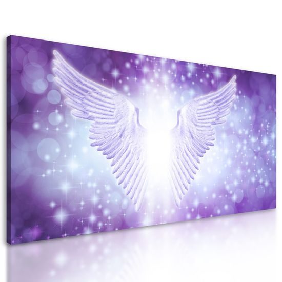 Obraz magická křídla