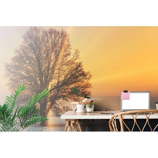 Krásná samolepící fototapeta koně při východu slunce