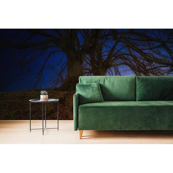 Samolepící tapeta stromy s noční oblohou