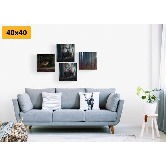 Set obrazů vysoká zvěř
