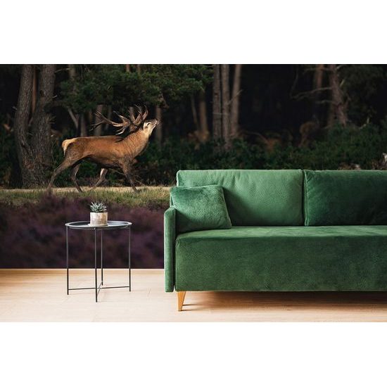 Samolepící fototapeta ručící jelen