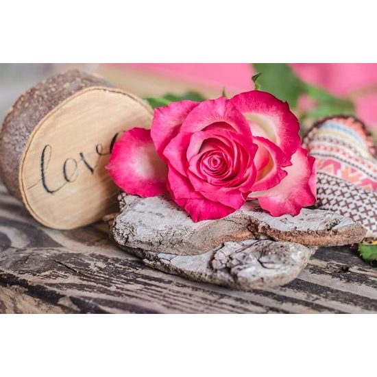 Samolepící fototapeta zátiší růže s nápisem Love