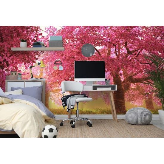 Nádherná samolepící fototapeta třešňové stromy