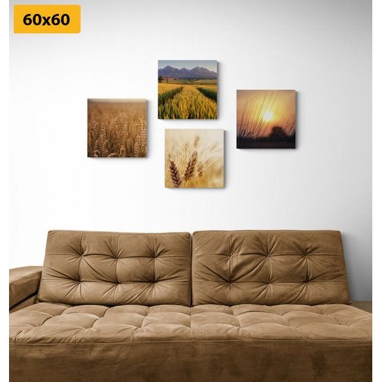 Set obrazů zlatavá obilná pole