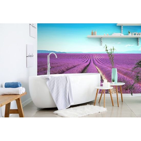 Krásná samolepící fototapeta nekončící levandulové pole