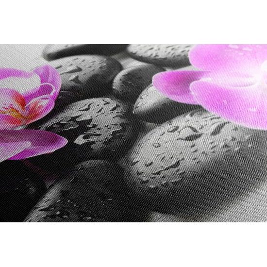 Obraz wellness kameny a orchidej po dešti
